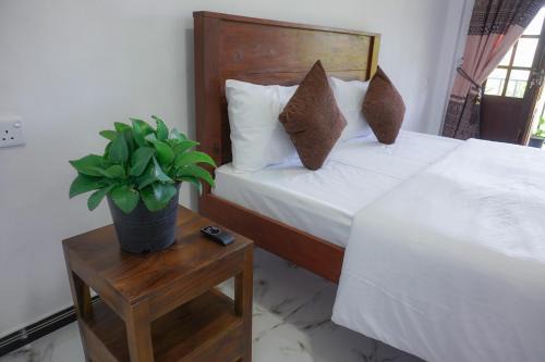 Ella Bed & Breakfast | Ella Tea House Garden