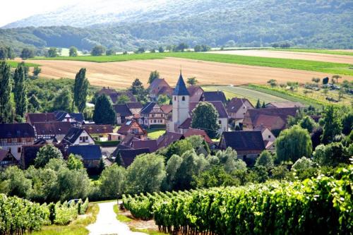 Cleebourg Apartment | Elsasslogie im Winzerdorf