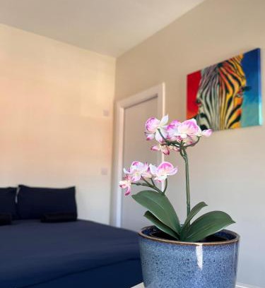 Glasnevin House | En-suite Triple Room near Croke Park - 1