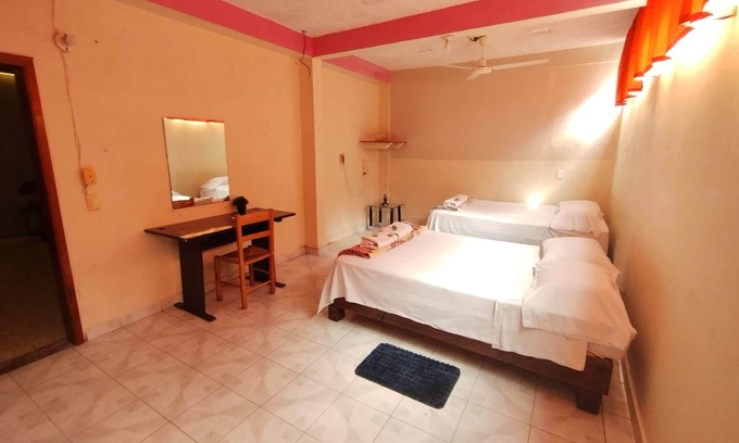 Poza Rica House | Encasa - Palm 206 House