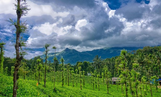 Mananthavady Hotel | Ende Wayanad Resort