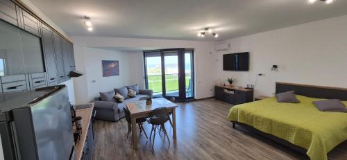 Costinesti Apartment | Enigma Epavei