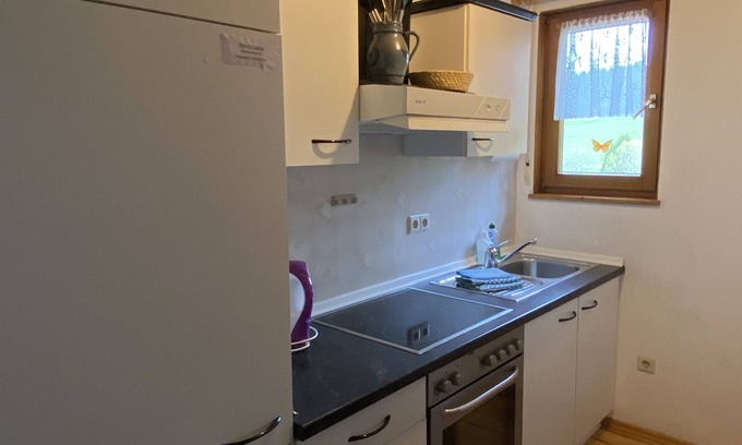 Schollach Apartment | Enjoy a relaxing holiday in the Bärenhof's old bakery