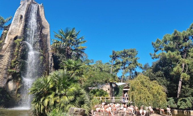 Semussac House | Enjoy peace and relaxation in this large holiday home with an inviting garden.