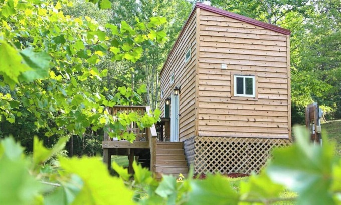 Clover Cabin | Enjoy Quiet and tranquility 2 private wooded acres!