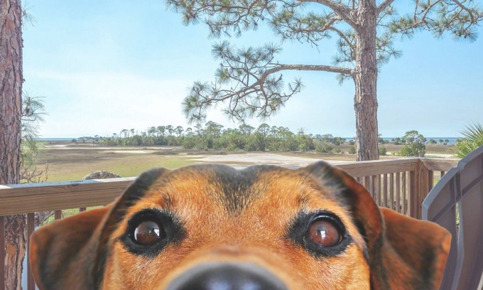 Salem House | Enjoy water views from our covered deck + dock, pet friendly - 1 mile to Keaton