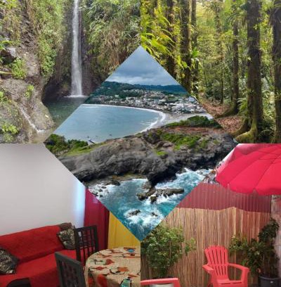 Gros-Morne Apartment | Entre forêt et mer