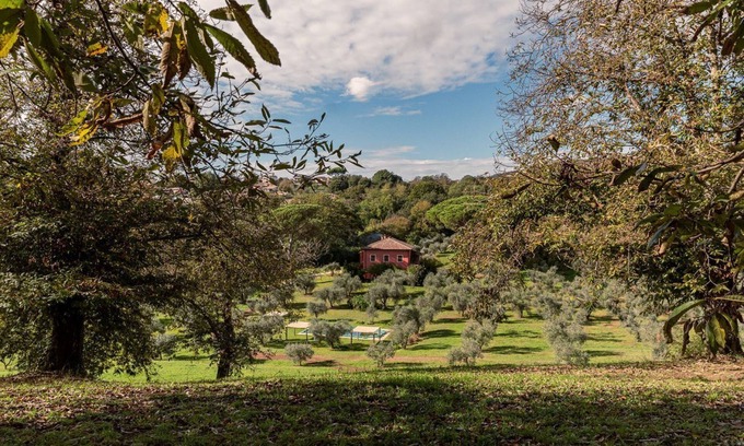 Poggio Cottage | Enveloping natural atmosphere, enjoy it with your loved ones.