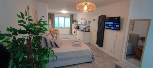 Gladbach Apartment | Erdgeschoss Koralle im Zentrum