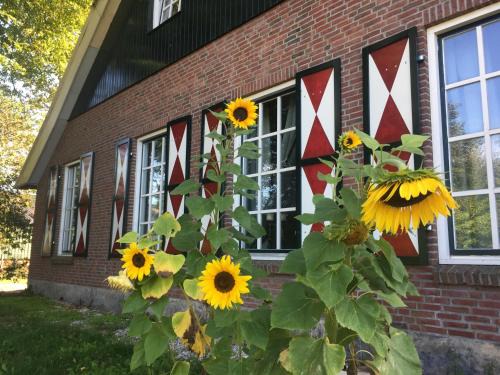 Enschede Apartment | Erve Het Roolvink Boerderij Appartementen 40-50 M2