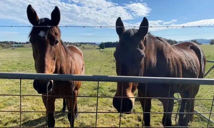 Marchmont House | Escape city life and immerse in Yass' serenity at Original Farm.