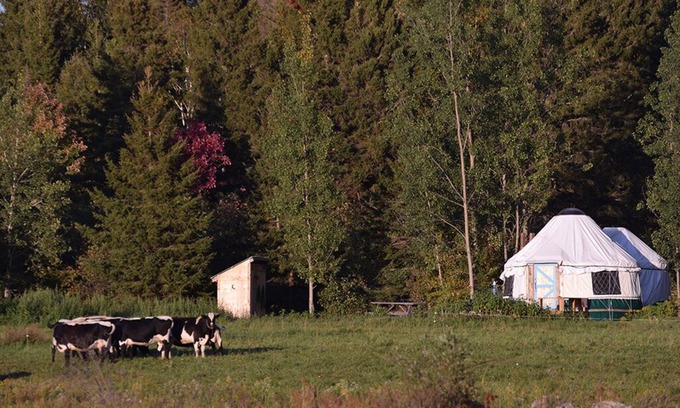 Powassan RV Rental | Escape to Nature: Cozy Yurt on a Heritage Farm with Trails, Pond, & Sauna