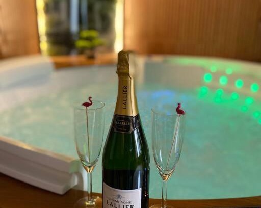 Mulhouse Apartment | Esprit BALI .LOVE SPA, Sauna de luxe à Mulhouse