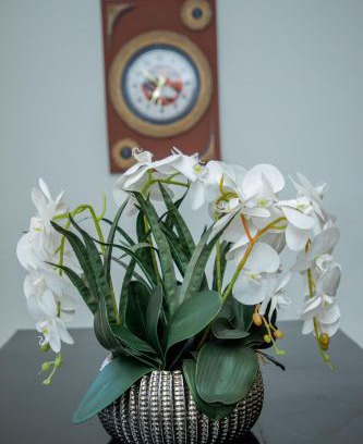 Iringa Apartment | Essence House