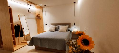 San Cristobal de La Laguna Apartment | Estudio centro de La Laguna