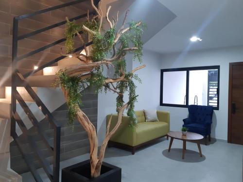 Guadalajara House | Estudios Bambú