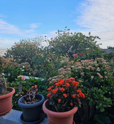 Granadilla de Abona Apartment | Eterna Primavera Fayna