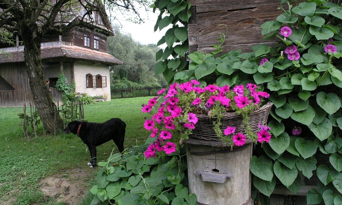 Sunja Other | Ethno Village Stara Lonja