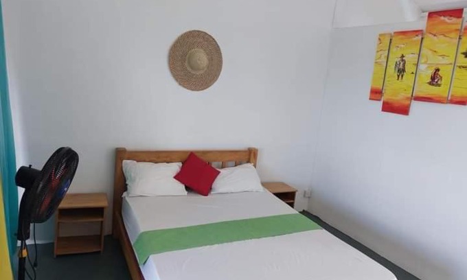 Coromandel Bed & Breakfast | Etoile de mer lodge