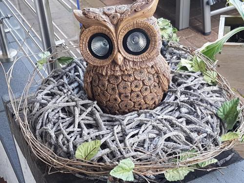 Elten Apartment | Eulennest im Souterrain