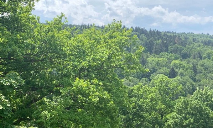 Pforzheim Condo | Exclusive apartment with stunning views of the Black Forest