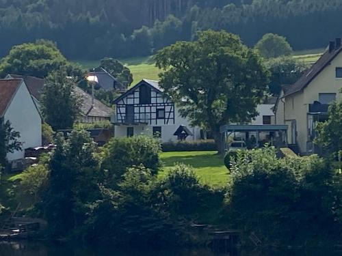 Einruhr Apartment | Exklusive, kernsanierte Ferienwohnung am Rursee