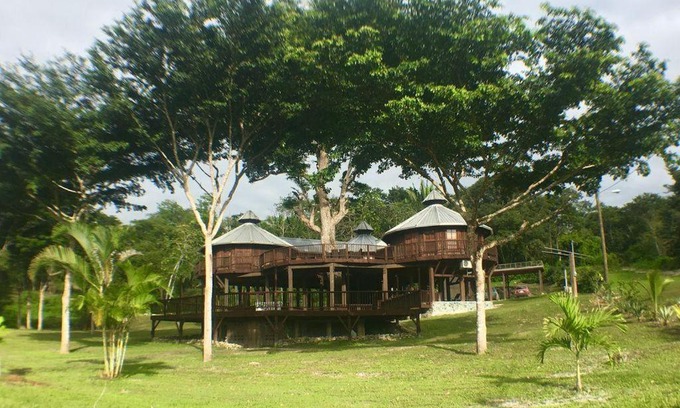 Bullet Tree Falls Villa | Exotic High End Unique Off-The-Grid Treehouse, steps away from the Mopan River!