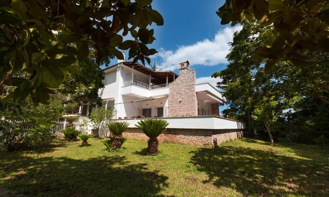 Skotina Villa | Exotic Palm Villa