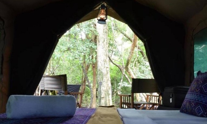 Wilgamuwa Other | Explorer by Eco Team - Wasgamuwa National Park