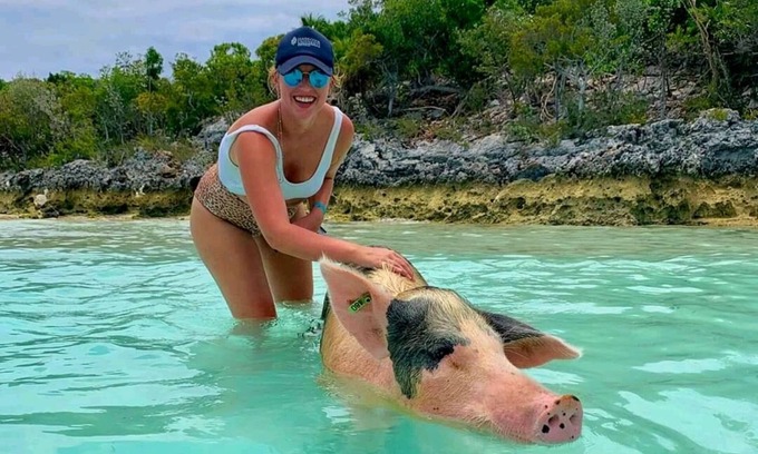Rolleville House | Exuma Point Villas -Swimming Pigs Resort- Green Lignam Vitae