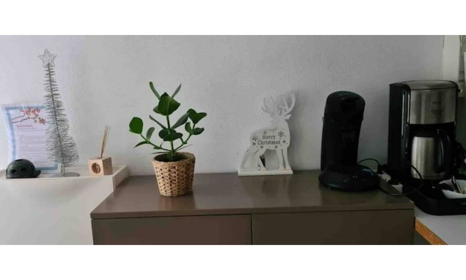 Poincare - Foch - Anatole France - Croix de Bourgogne Apartment | F2 5min from the station, duplex, quiet, 47m2
