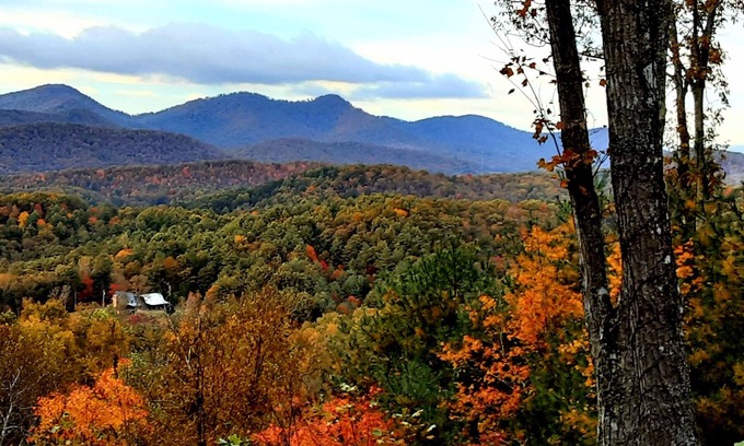 Mineral Bluff Cabin | Fab Tri-State view 3/3, hot tub,pool table, ping-pong,Wi-Fin4 tvnntr trl creek