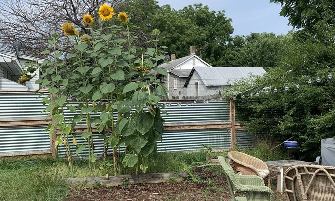 Roanoke RV Rental | Fabulous private backyard, minutes away from downtown and greenway