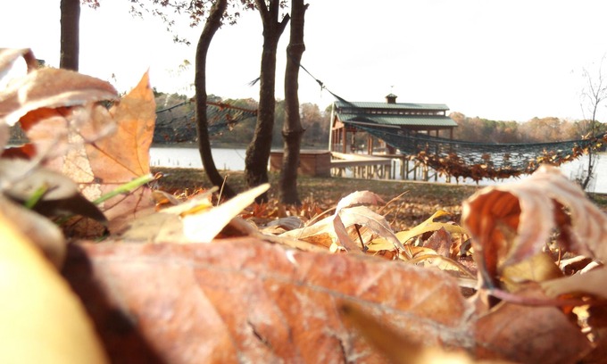 Whispering Hills Cabin | Fall Time! Lakefront Log Cabin, 3/2, Dock, Fire Pit, Fish, Swim, Views, Relax +