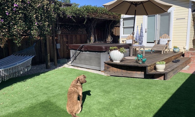 Opal Cliffs House | Family and pet friendly close to beaches. SC Rental Permit 241396