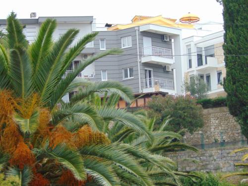 Rana Apartment | Family House Milic in Ulcinj