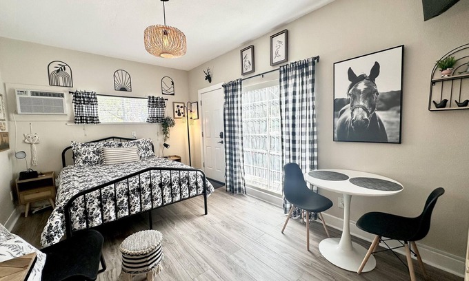 Travis Heights Apartment | Fancy Pants South Congress Studio