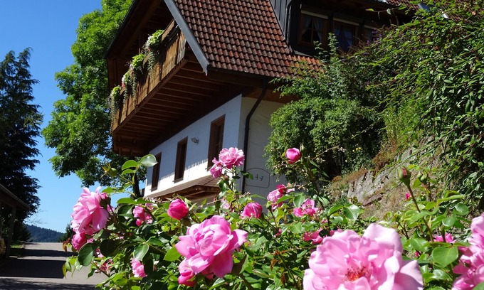 Schiltach Apartment | Farm animals in the Black Forest, 4 star wellness Non smoking apartment