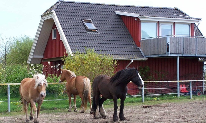 Kenz-Kustrow Apartment | Farm Holidays - Apartment