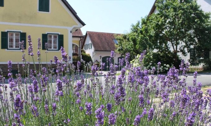 Bad Gams Bed & Breakfast | Farmer-Rabensteiner