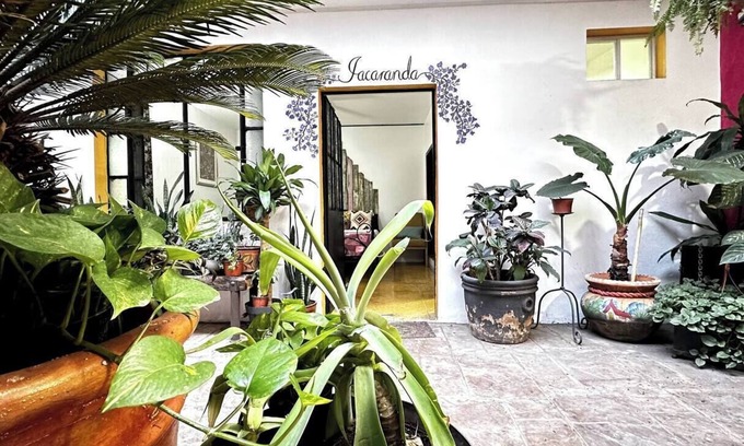San Pedro Tlaquepaque Hotel | Fast Wi-Fi Rooftop Lounge Washer Parián Secure