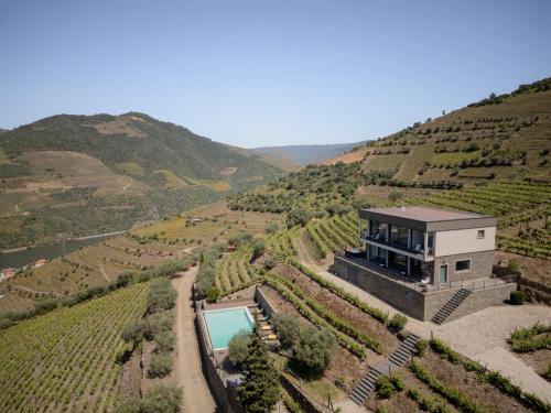 Armamar Villa | Feel Discovery Alvim's Douro