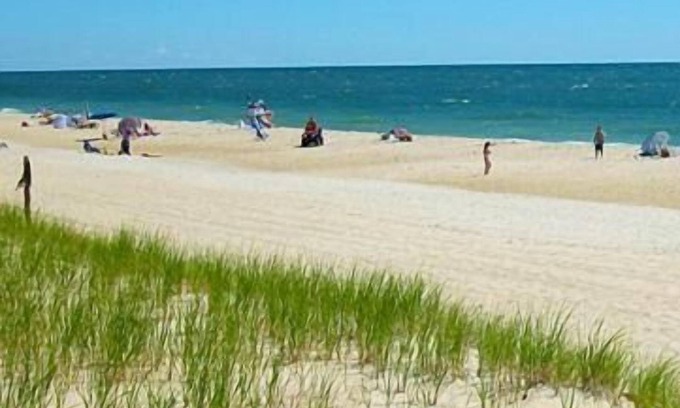 Fenwick Island Hotel | Fenwick Islander Motel