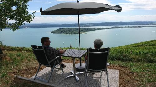 Ligerz Apartment | Ferien auf dem Weingut