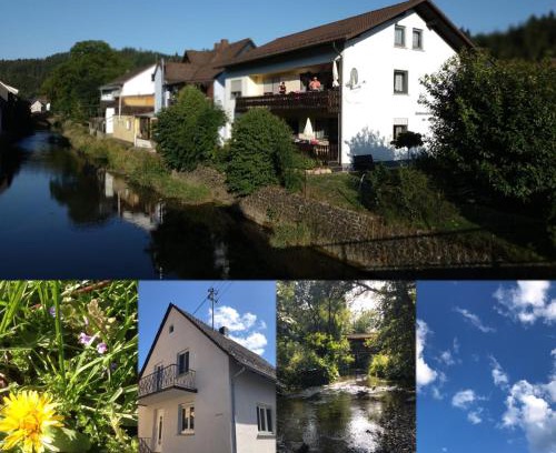 Steinwiesen Apartment | Ferienhaus 1 An der Rodach