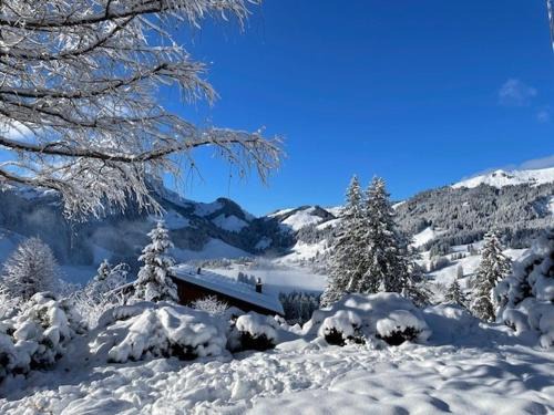 Schwarzsee House | Ferienhaus Relax