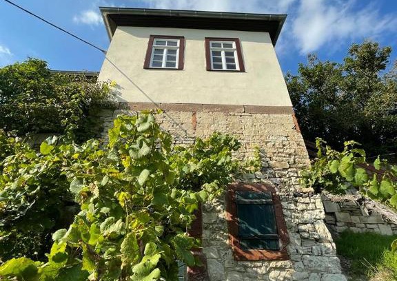 Freyburg House | Ferienhaus Traminer im Weinberg