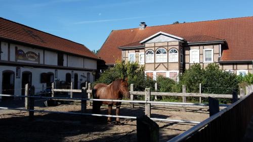 Hanum House | Ferienhof Hanum