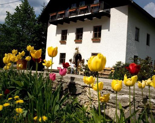 Vorderstoder House | Ferienhof Rotbuchner