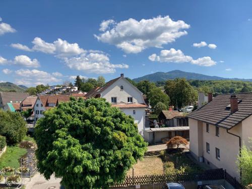 Muellheim Apartment | Ferienwohnung Alte Münz